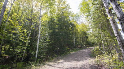 00 Siberia Rd, Barry's Bay - Madawaska Valley image-0-4
