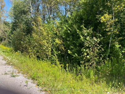  Sumcot Dr, Trent Lakes - Trent Lakes image-0-1