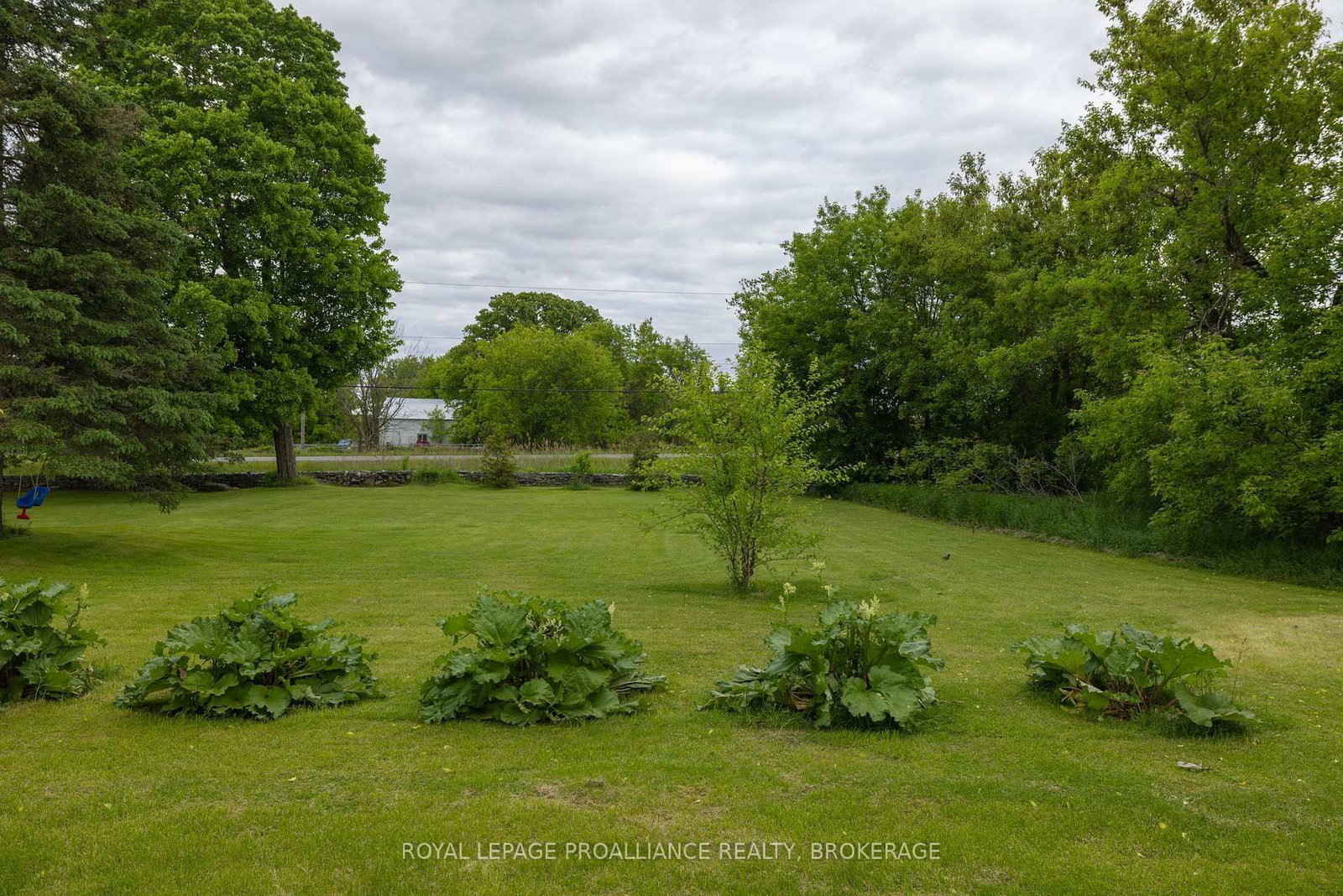 Listing Image 38