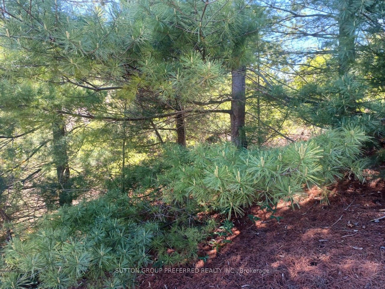 Listing Image 16