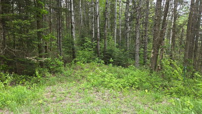 648 O'CONNOR Line, Powassan - Powassan image-0-1