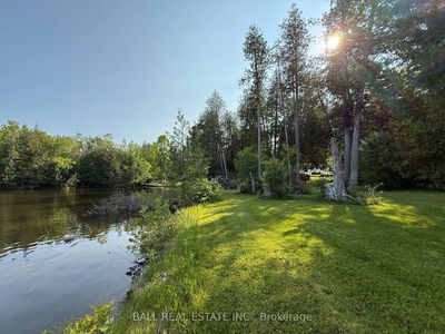491 Sawmill Rd, Douro-Dummer - Douro-Dummer image-0-4