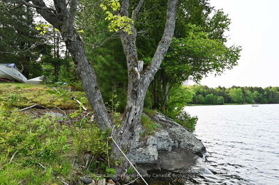 27 Diamond Lake Rd, Seguin - Seguin image-0-4
