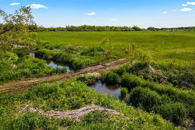 375533 6th Line, Amaranth - Rural Amaranth image-0-4