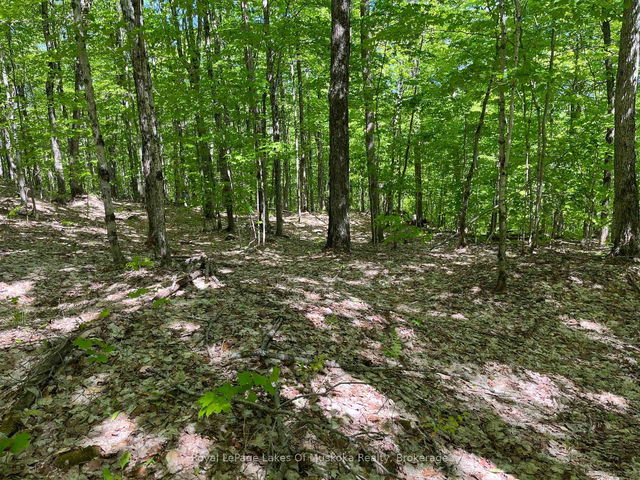 LOT 40 SUNSET Ridge
