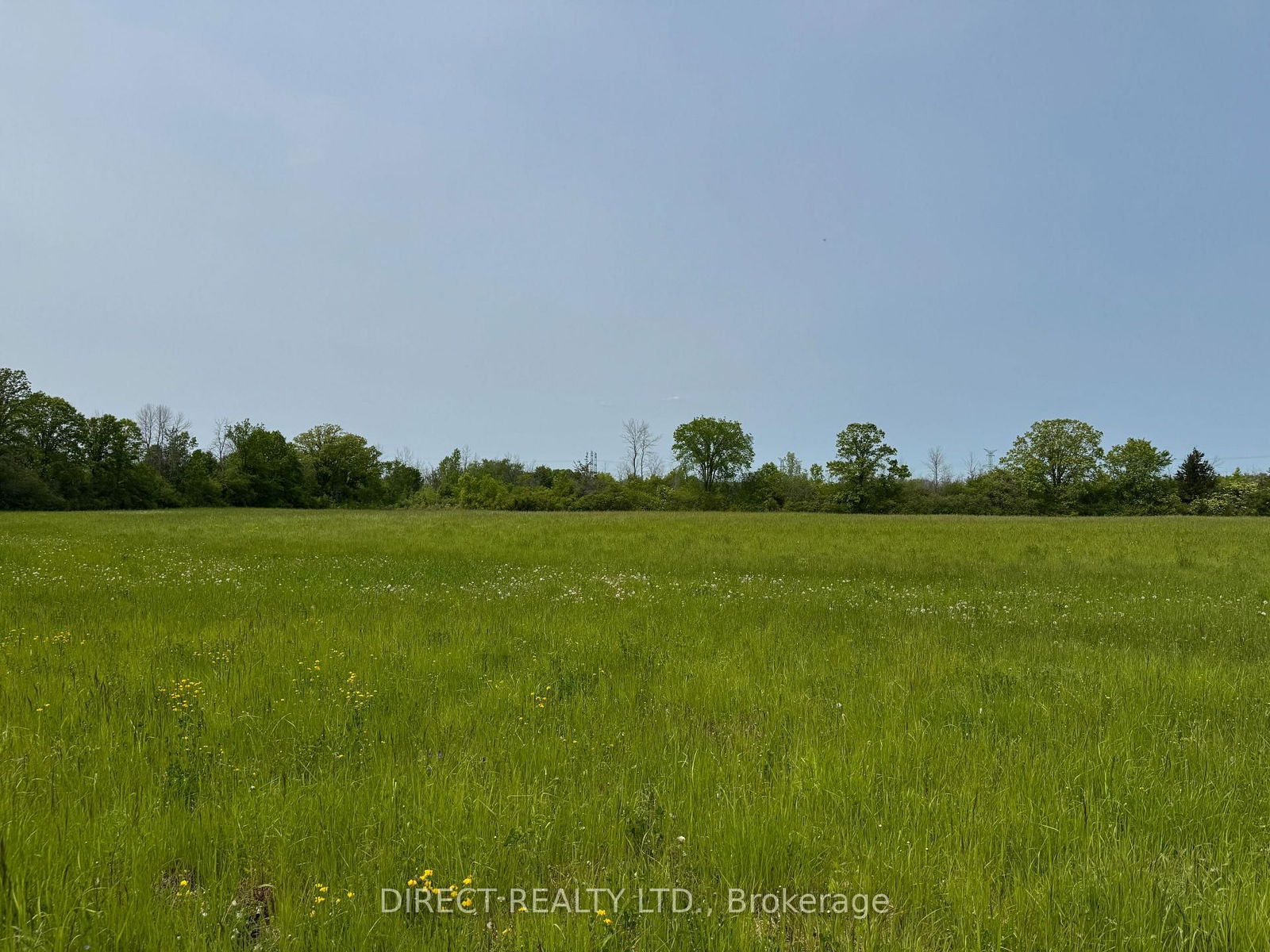 Listing Image 0