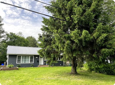 253 Maple St, Bracebridge - Macaulay image-0-4