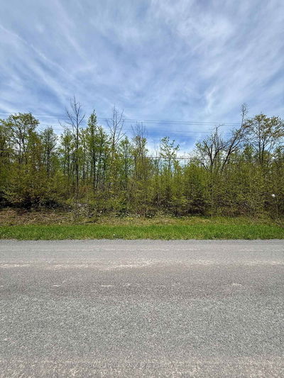00 Birchview Rd, Douro-Dummer - Douro-Dummer image-0-3