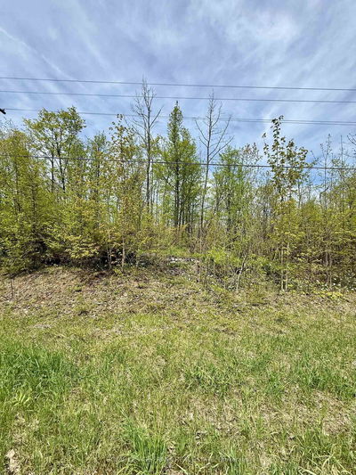 00 Birchview Rd, Douro-Dummer - Douro-Dummer image-0-4