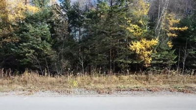 23 Heritage Blvd, North Grenville - North Grenville Twp (Kemptville South) image-0-3