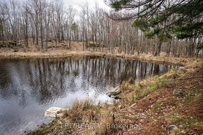  Old Sulphide Rd, Tweed - Hungerford (Twp) image-0-4
