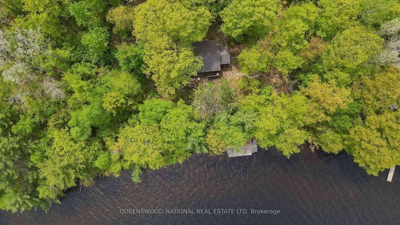 55 Lewis Lane, Barry's Bay - Bangor Ward image-0-0