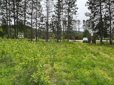 18500 Highway 60 Highway, Barry's Bay - Madawaska Valley image-0-1
