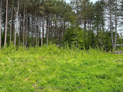 18500 Highway 60 Highway, Barry's Bay - Madawaska Valley image-0-3