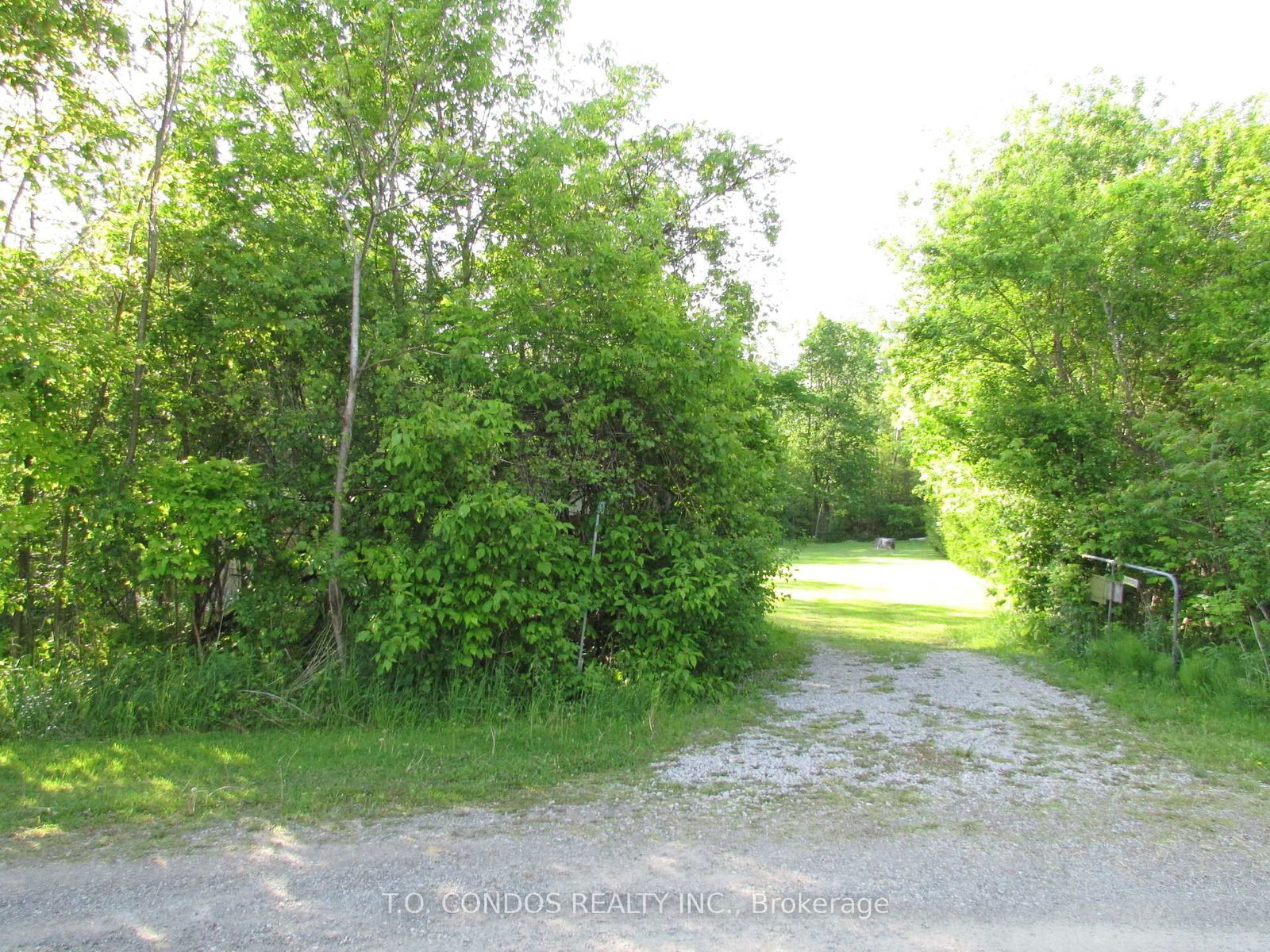 Listing Image 0