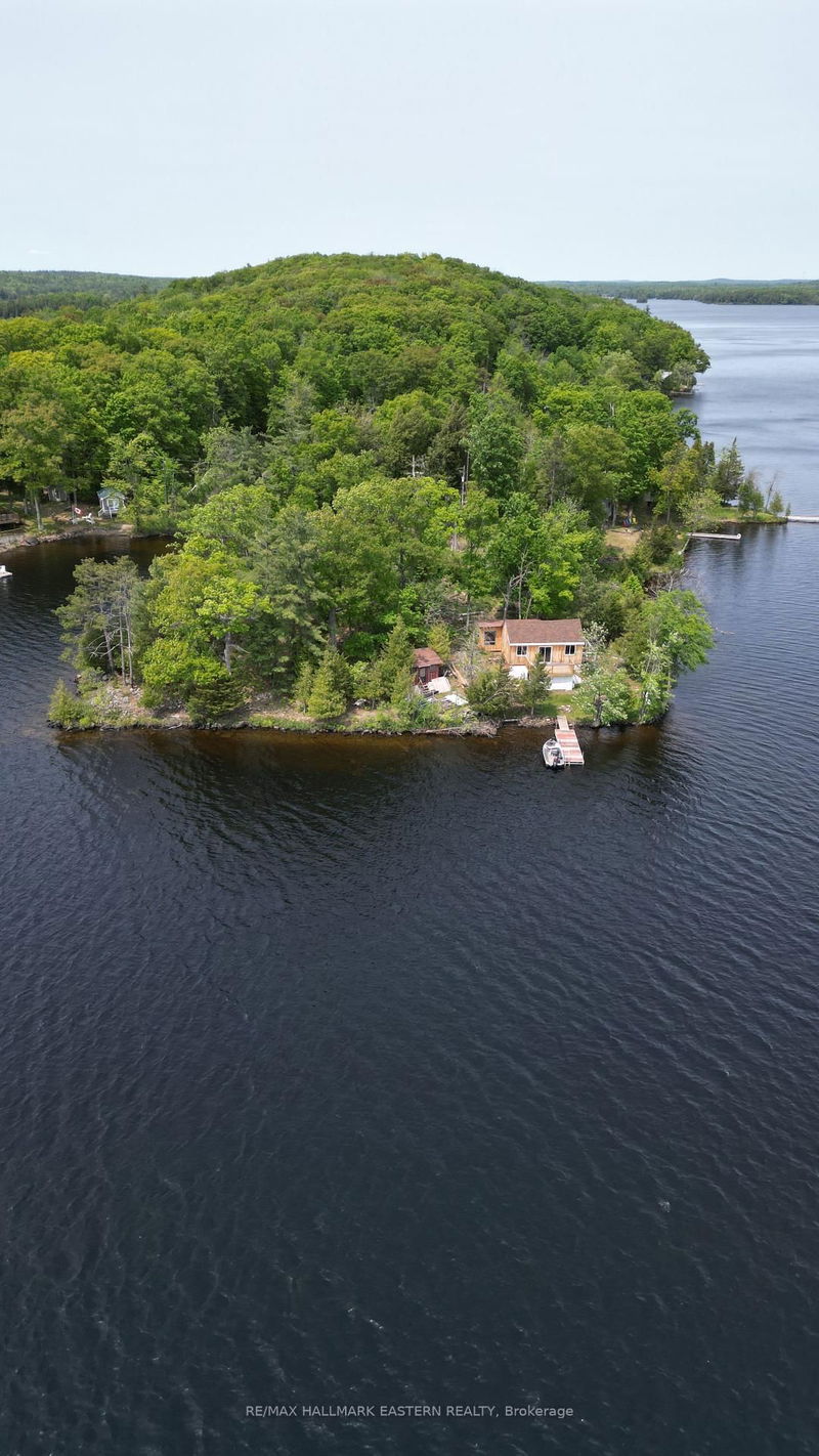 280 Big Island, Havelock-Belmont-Methuen - Belmont-Methuen image-0-0