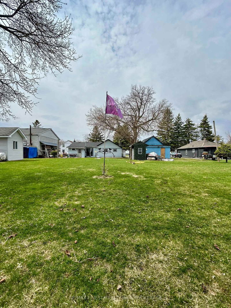 159 University Ave, Belleville - Belleville Ward image-0-0