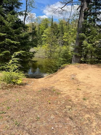 1675 Braeloch Rd, Algonquin Highlands - Stanhope image-0-4