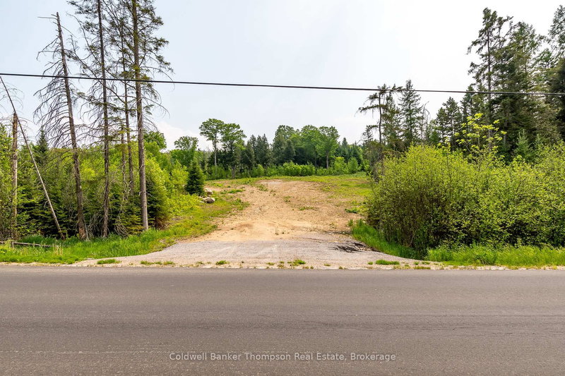 223 Peggs Mountain Rd, Armour, P0A 1C0 | Image 3