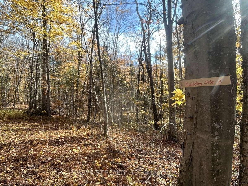 833 Hamilton Lake Rd, Machar, P0A 1X0 | Image 3