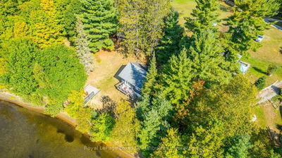 1070 Frank's Lane, Algonquin Highlands - Stanhope image-0-2