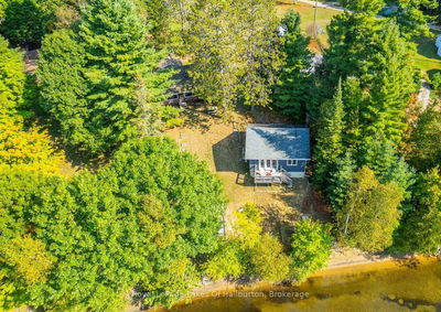 1070 Frank's Lane, Algonquin Highlands - Stanhope image-0-4