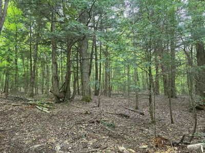  25th Line Rd, Algonquin Highlands - Stanhope