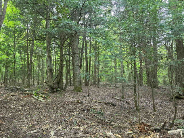 0 25th Line Road