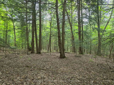  25th Line Rd, Algonquin Highlands - Stanhope image-0-1