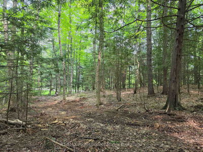  25th Line Rd, Algonquin Highlands - Stanhope image-0-2