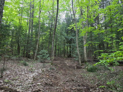  25th Line Rd, Algonquin Highlands - Stanhope image-0-4