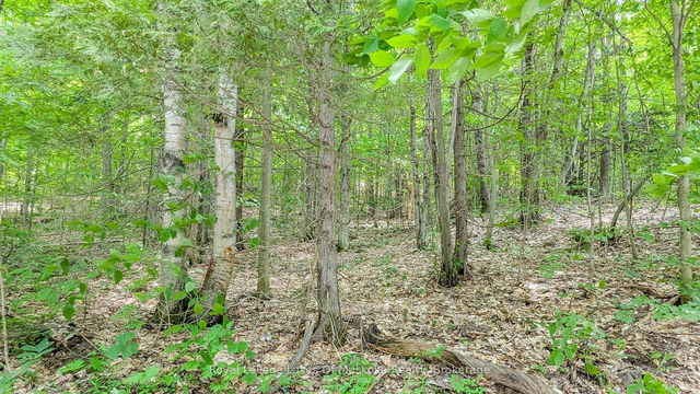 0 Rosseau Lake Rd 1