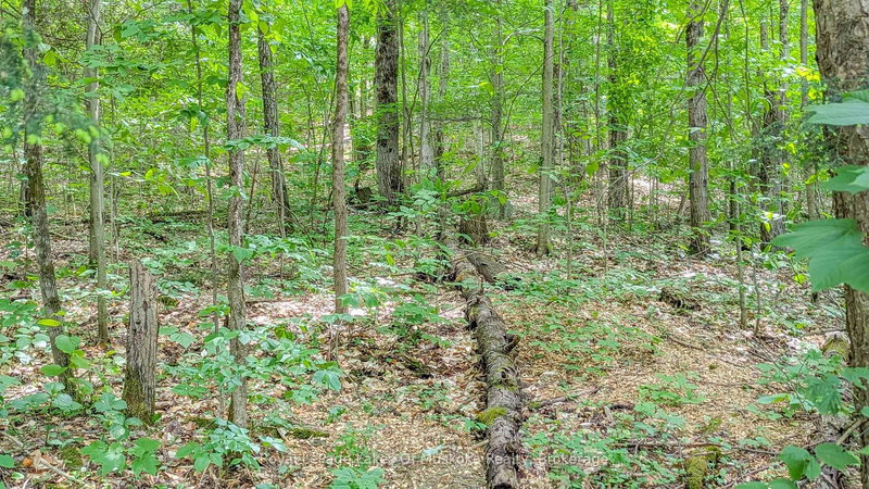 0 Rosseau Lake Rd 1, Muskoka Lakes, P0B 1M0 | Image 3