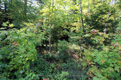  Lover's Lane, Parry Sound Remote Area - East Mills image-0-1