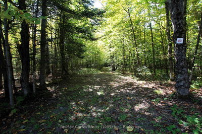  Lover's Lane, Parry Sound Remote Area - East Mills image-0-3