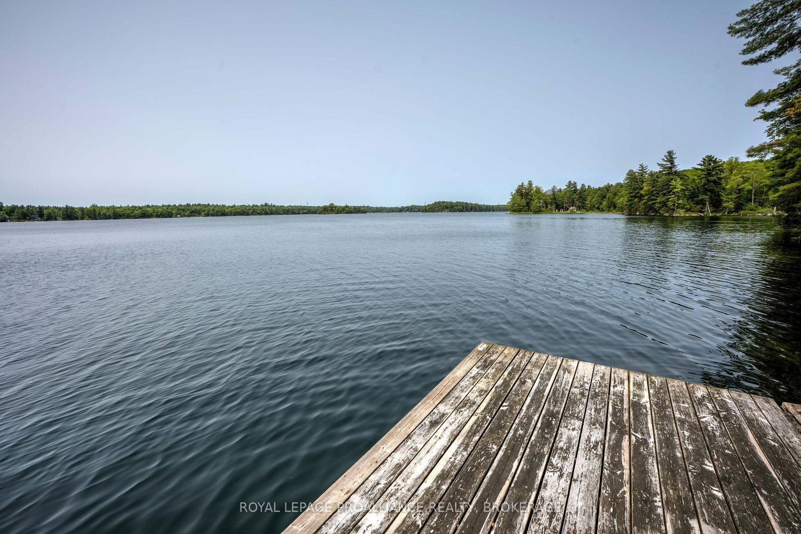 Listing Image 47