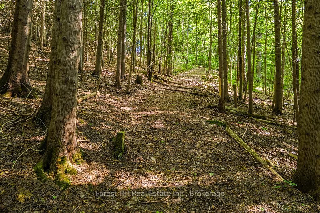Listing Image 49
