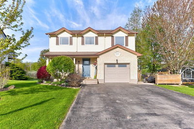 10 Hewitt St, Blandford-Blenheim - Bright