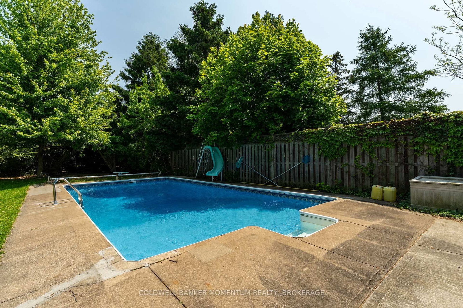 Listing Image 46