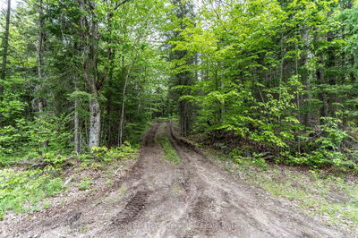 2524 Fern Glen Rd, McMurrich/Monteith - McMurrich
