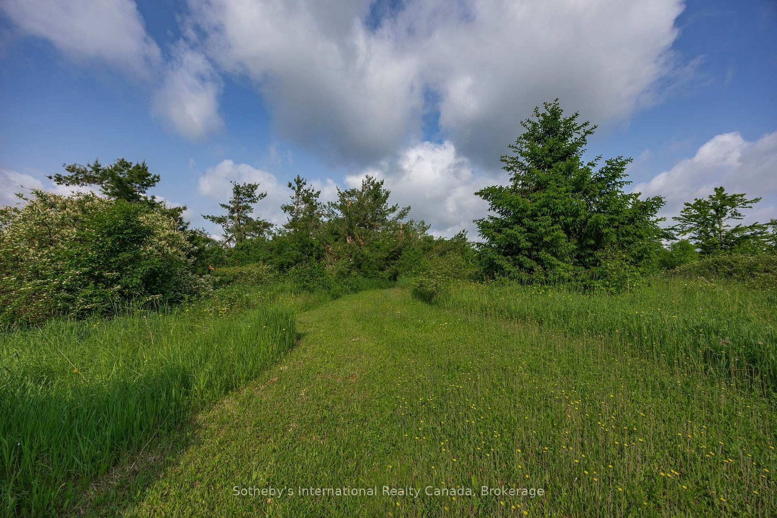 Listing Image 45