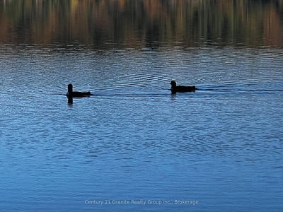 1141 Kanawa Lane, Algonquin Highlands -  image-0-1