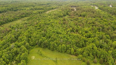 2494 Sulphide Rd, Tweed - Hungerford (Twp) image-0-4