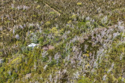 Lot 3 Hill Top Rd, Prince Edward County - South Marysburgh image-0-2