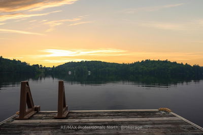 1093 Comak Cres, Algonquin Highlands - Sherborne image-0-2