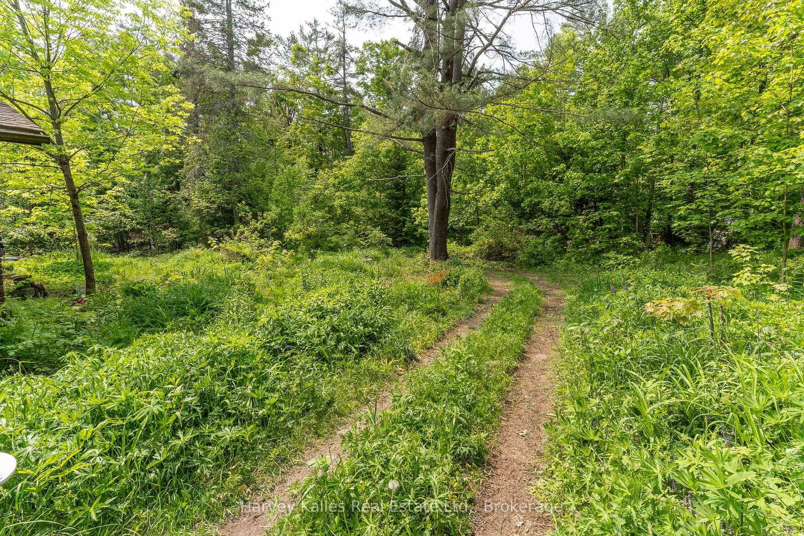 Detached House for sale at 1099 Peterson Road, Bracebridge, Ontario, P1L 1X1 - Draper - MLS: X12205588