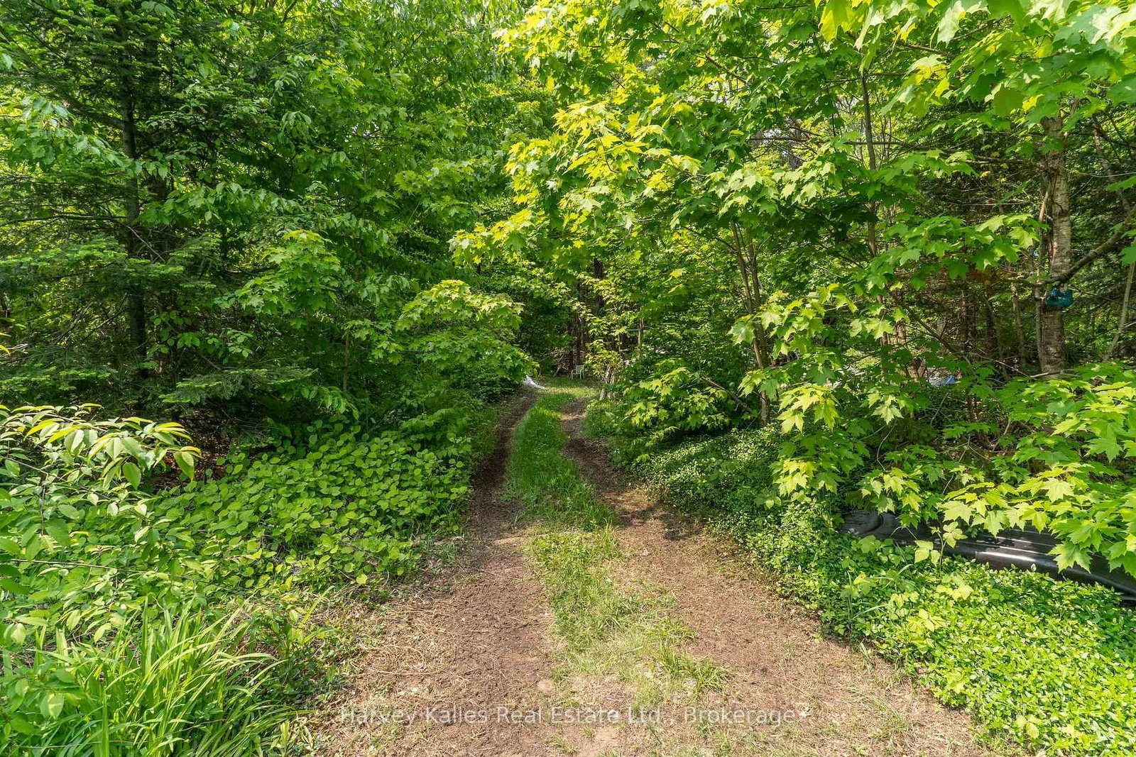 Detached House for sale at 1099 Peterson Road, Bracebridge, Ontario, P1L 1X1 - Draper - MLS: X12205588