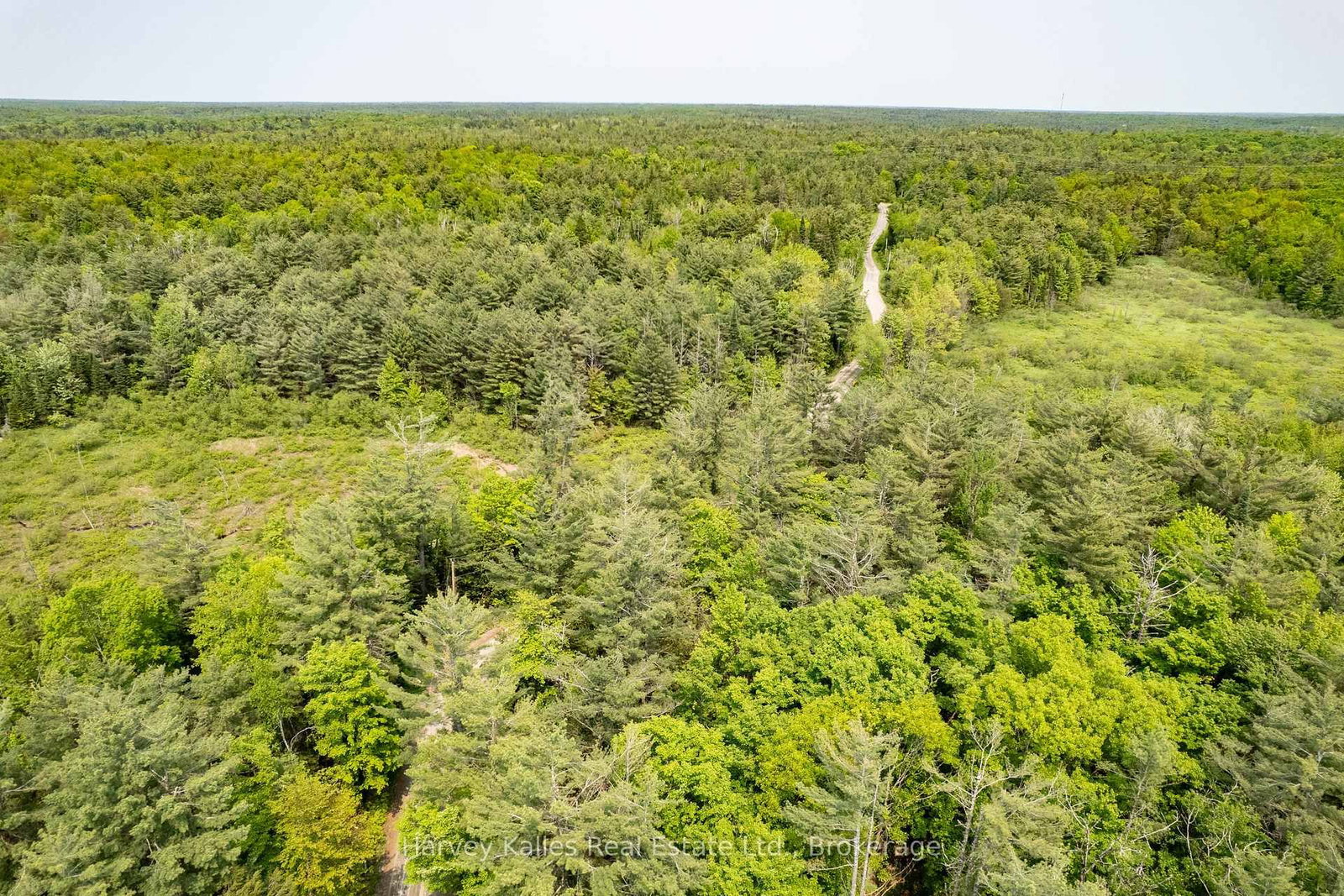 Detached House for sale at 1099 Peterson Road, Bracebridge, Ontario, P1L 1X1 - Draper - MLS: X12205588