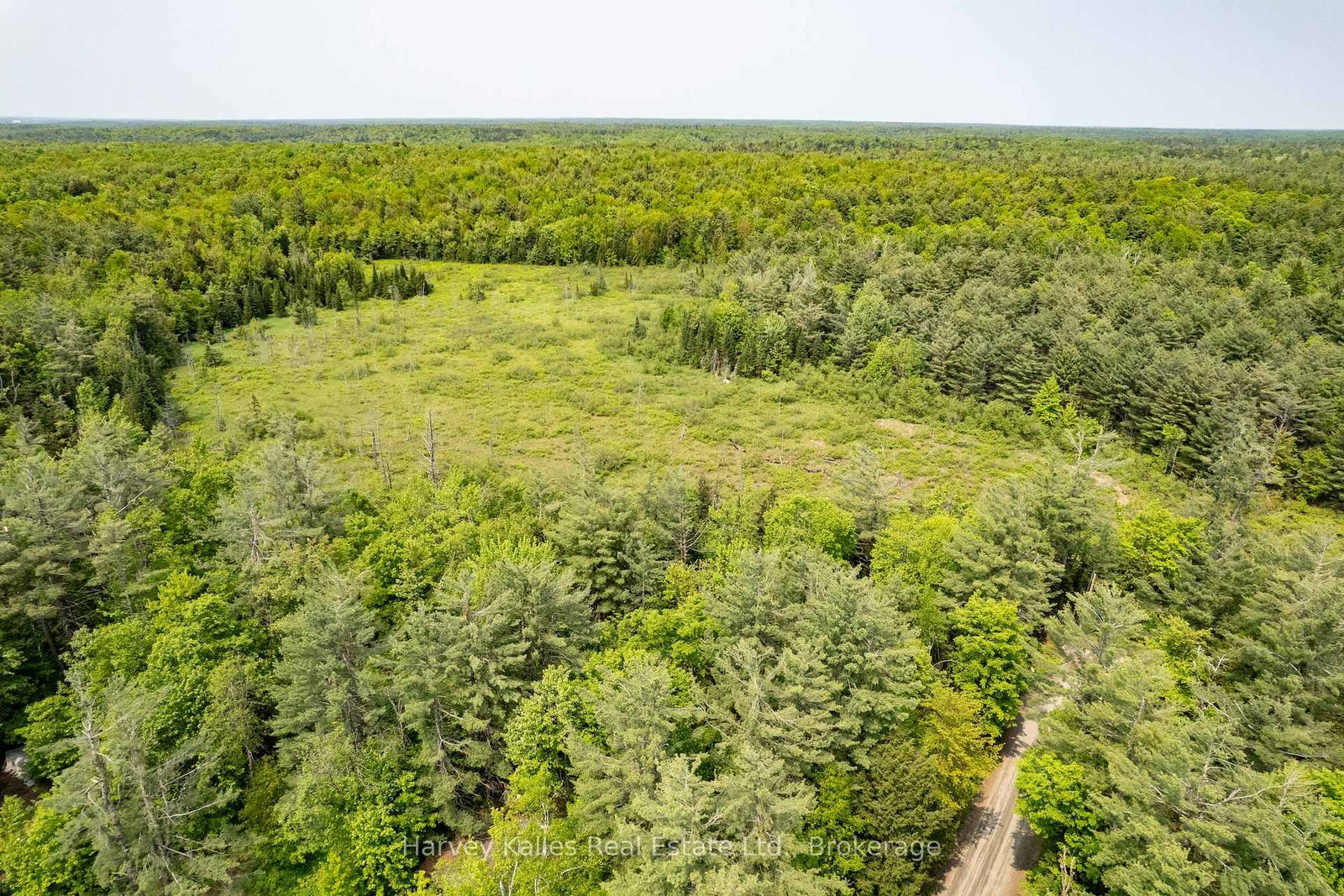 Detached House for sale at 1099 Peterson Road, Bracebridge, Ontario, P1L 1X1 - Draper - MLS: X12205588