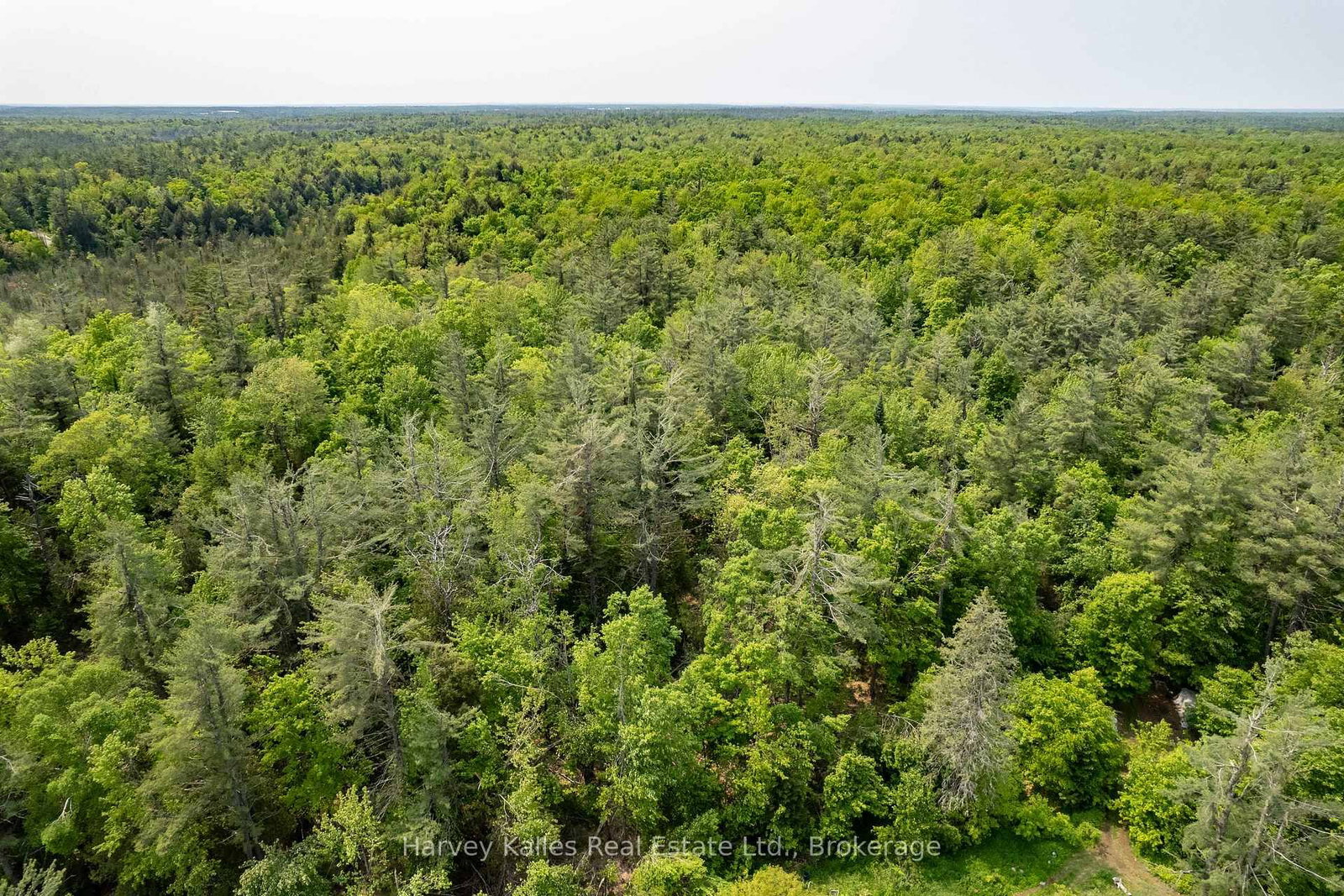 Detached House for sale at 1099 Peterson Road, Bracebridge, Ontario, P1L 1X1 - Draper - MLS: X12205588